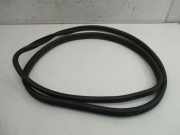 Türdichtung Türgummi Karosserie hinten links BMW X5 (E70) XDRIVE35D 210 KW 7220382