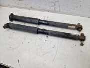 Stoßdämpfersatz Hinterachse links & rechts FORD TRANSIT V363 MK8 KASTEN (FCD, FDD) 2.0 T 125 KW FK3118080BA