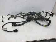 Kabel Motor Motorkabelbaum 250A1000 FIAT DUCATO KASTEN (250) 115 MULTIJET 2.0 D 85 KW 55243789