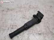 Zündspule Zündmodul BMW X3 (E83) 2.5I 141 KW 1712223
