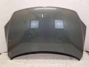 Motorhaube LA6Q Sage Green Met. VW GOLF PLUS (521, 5M1) 1.6 FSI 85 KW