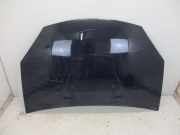 Motorhaube D42 BLEU NAVY DACIA SANDERO 1.2 16V 55 KW