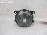 Nebelscheinwerfer links RENAULT KANGOO (KW0/1_ , W) 1.5 DCI 76 KW 8200074008