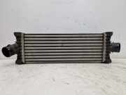 Ladeluftkühler LLK T20DD0J FORD TRANSIT V363 MK8 KASTEN (FCD, FDD) 2.0 T 125 KW GK216K775AE