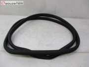 Türdichtung Türgummi Karosserie Vorne Links / Rechs MINI MINI COUNTRYMAN (R60) COOPER S 135 KW 9808654