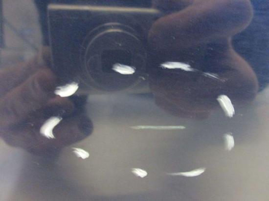 Tür rechts 2-Türer LG5V Royal Navy Perleffekt VW NEW BEETLE (9C1, 1C1) 1.4 55 KW Bild Tür rechts 2-Türer LG5V Royal Navy Perleffekt VW NEW BEETLE (9C1, 1C1) 1.4 55 KW