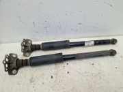 Stoßdämpfersatz Hinterachse links & rechts OPEL CORSA D (S07) 1.3 CDTI 55 KW 13398342~13398341