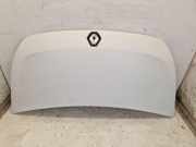 Motorhaube 0389 Blanc Glacier RENAULT MASTER III KASTEN (FV) 2.3 DCI 125 FWD 92 KW