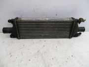 Ladeluftkühler Kühler D20AA FIAT SEDICI (FY_) 2.0 D MULTIJET 4X4 99 KW 1362079J80