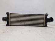 Ladeluftkühler LLK FORD TRANSIT V363 MK8 KASTEN (FCD, FDD) 2.0 T 96 KW GK216K775AE