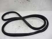 Türdichtung Türgummi Karosserie vorne rechts SEAT IBIZA V ST (6J8) 1.6 TDI 66 KW