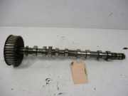 Nockenwelle Auslass BKP RENAULT CLIO III (BR0/1, CR0/1) 1.6 16V 82 KW