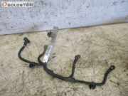 Kabel Zündkabel Glühkerzen LAND ROVER FREELANDER 2 (FA_) 2.2 TD4 112 KW 9661631680