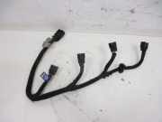 Kabel Motor Motorkabelbaum GAS-Anlage Einspritzdüsen F1CE0441A IVECO DAILY IV KASTEN/KOMBI 65C/14 100 KW