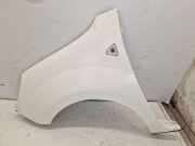 Kotflügel vorne links O389 Ice White RENAULT KANGOO EXPRESS (FW0/1) 1.5 DCI 70 50 KW