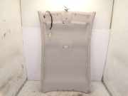 Himmel Hellgrau RENAULT MEGANE III SCHRÄGHECK (BZ0_) 1.6 16V FL 81 KW