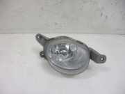 Nebelscheinwerfer rechts CHEVROLET AVEO SCHRÄGHECK (T250, T255) 1.4 74 KW