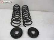 Feder Satz Federn hinten L/R silber rot braun FORD KUGA II (DM2) 1.5 ECOBOOST 110 KW CV61-5560-ALF