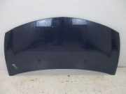 Motorhaube 460 Bleu Roy Royal Blau RENAULT CLIO III (BR0/1, CR0/1) 1.2 16V 55 KW