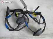 Kabel Tür Türkabelbaum hinten rechts HYUNDAI SANTA FE II (CM) 2.2 CRDI 4X4 114 KW 91660-2B020