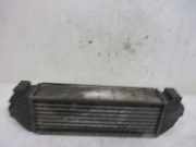 Ladeluftkühler Intercooler FORD TRANSIT BUS 2.0 DI MK6 74 KW 8ML376765041