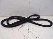 Türgummi Türdichtung hinten Re/Li BMW 5 (G30) 520I LCI 135 KW 7381326