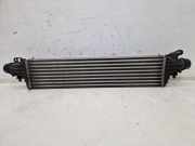 Ladeluftkühler LLK B10XFL OPEL CORSA E (X15) 1.0 66 KW 13378221