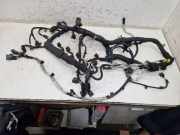Kabel Motor Motorkabelbaum T22DD0P FORD TRANSIT 06 MK7 2.2 TDCI 74 KW CC1T12B637AAE/CC1T14D502BC