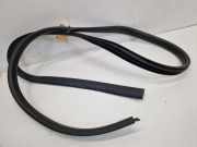 Türdichtung Türgummi Karosserie hinten links RENAULT TWINGO III (BCA, BCM) Z.E 60 KW