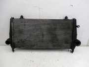 Ladeluftkühler UHZ DT17TED4 PEUGEOT 407 COUPE (6C_) 2.7 HDI 150 KW 9646300980