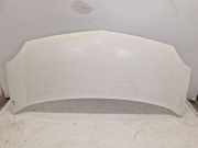 Motorhaube O389 Ice White RENAULT KANGOO EXPRESS (FW0/1) 1.5 DCI 70 50 KW