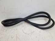 Türdichtung Türgummi Karosserie passend vorne links & rechts BMW X5 (F95, G05) 40I MILD-HYBRID XDRIVE LCI 280 KW 7428678