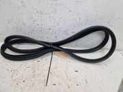 Türdichtung Türgummi Karosserie hinten links RENAULT ZOE (BFM) ZOE VE (B10) 80 KW