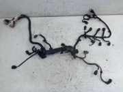 Kabel Motor Motorkabelbaum HM01 CITROEN C3 II 1.2 VTI 82 60 KW 9674664480