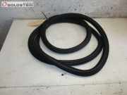 Türdichtung Türgummi Karosserie hinten links SKODA SUPERB (3T4) 2.0 TDI 125 KW