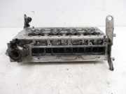 Zylinderkopf F1AFL411C Ventile DAILY V KASTEN/KOMBI 29 L 15 V, 35 C15 L 107 KW 5801834465