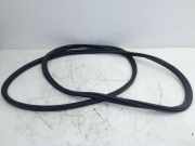 Türdichtung Türgummi Karosserie Heckklappe BMW X5 (F95, G05) 40I MILD-HYBRID XDRIVE LCI 280 KW 9854893