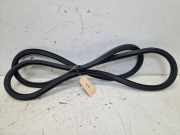 Türdichtung Türgummi Karosserie vorne rechts SEAT ALHAMBRA (710, 711) 2.0 TDI 135 KW 7N0867912C