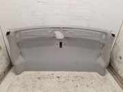 Himmel Grau vorne Kabine FORD TRANSIT V363 MK8 KASTEN (FCD, FDD) 2.0 T 125 KW