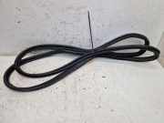 Dichtung, Heckklappendichtung Kofferraumdichtung FORD S-MAX GALAXY (WA6) 2.0 TDCI 96 KW