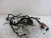 Kabel Motor Motorkabelbaum DACIA SANDERO 1.2 16V 55 KW 240118526R