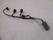 Kabel Motor Motorkabelbaum Kraftstoffeinspritzventil CITROEN C4 COUPE (LA_) 1.4 16V 65 KW 9646135180