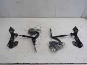 Motorhaubenscharnier Gasfeder Satz RENAULT ZOE (BFM) ZOE 65 KW 654018609R/654009955R