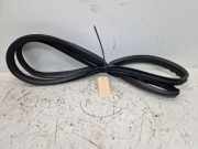 Türdichtung Türgummi Karosserie vorne links MITSUBISHI COLT VII SCHRÄGHECK (VB) 1.0 MPI 67 KW MQ006035