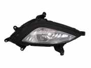 Nebelscheinwerfer links Halogen HYUNDAI I20 (PB, PBT) 1.1 CRDI FACELIFT 55 KW 922011J500