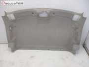 Himmel vorne Dach FORD TOURNEO CONNECT 1.8 TDCI 66 KW