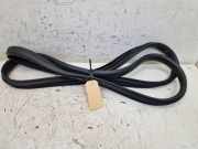 Türdichtung Türgummi Karosserie hinten links DACIA SANDERO II 1.0 SCE 75 FACELIFT 54 KW