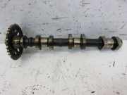 Nockenwelle Nockenwellenrad Auslass 3A91 MITSUBISHI COLT VI (Z3_A, Z2_A) 1.1 55 KW MN143405