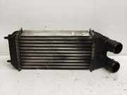 Ladeluftkühler B12XHL OPEL CROSSLAND X (P17, P2QO) 1.2 96 KW 9803900780/CV448004
