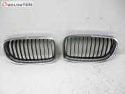Ziergitter Satz Nieren Links/Rechts Chromrahmen BMW 3 TOURING (E91) 318D 105 KW 7201967~~7201968